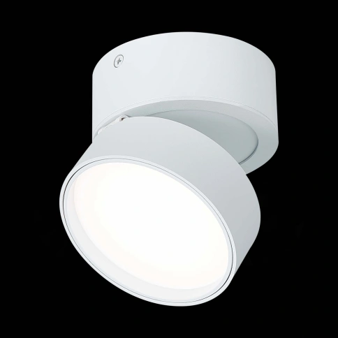 ST651.542.14 Светильник потолочный поворотный Белый LED 1*14W 4000K 1 100Lm Ra>90 120° IP20 D105xH88 фото 1