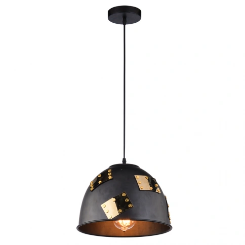 Подвесной светильник Arte Lamp EURICA A6023SP-1BK фото 1