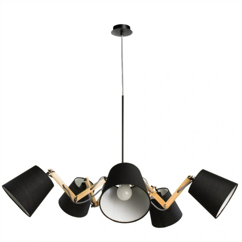 Подвесная люстра Arte Lamp PINOCCHIO A5700LM-5BK фото 1