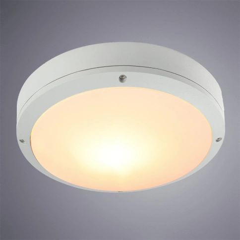 Уличный потолочный светильник Arte Lamp CITY A8154PF-2WH фото 1
