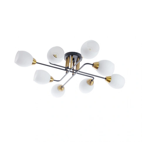 Потолочная люстра Arte Lamp ANDREA A8141PL-8BK фото 1
