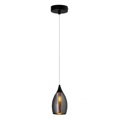 Подвесной светильник Arte Lamp BARRY A7951SP-1BK фото 1