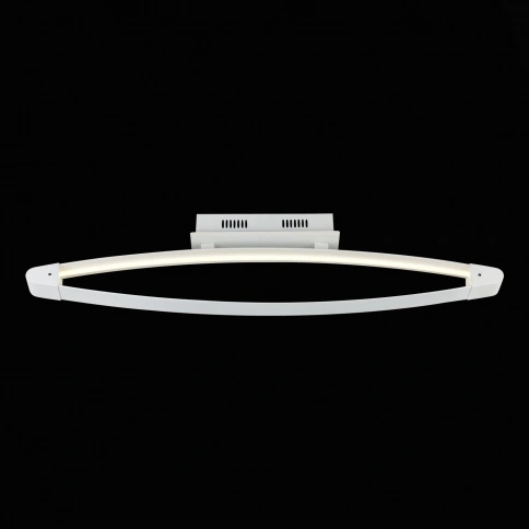 SL920.102.01 Светильник потолочный ST-Luce Белый/Белый LED 1*27,3W 4000K фото 1