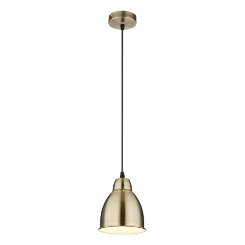 Подвесной светильник Arte Lamp BRACCIO A2054SP-1AB фото 1