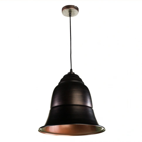 Подвесной светильник Arte Lamp TRENDY A1508SP-1BR фото 1