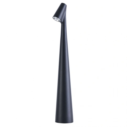 Декоративная настольная лампа Arte Lamp FUSION A3283LT-2BK фото 1