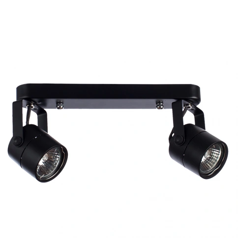 Спот Arte Lamp MIZAR A1311PL-2BK фото 1