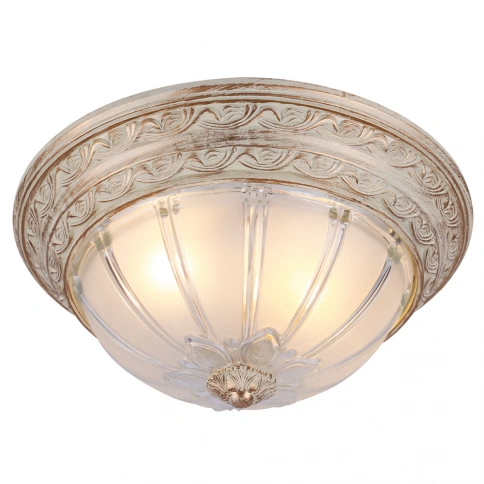 Потолочный светильник Arte Lamp PIATTI A8014PL-2WA фото 1