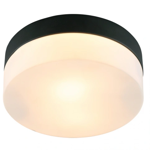 Потолочный светильник Arte Lamp AQUA-TABLET A6047PL-1BK фото 1