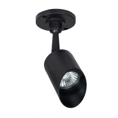Уличный потолочный светильник Arte Lamp ELSIE A1022AL-1BK фото 1