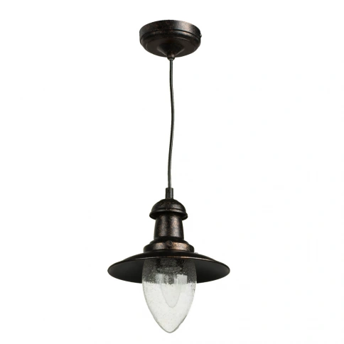 Подвесной светильник Arte Lamp FISHERMAN A5518SP-1RI фото 1
