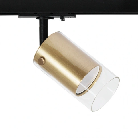 Трековый светильник Arte Lamp LAZIO A5368PL-1SG фото 1