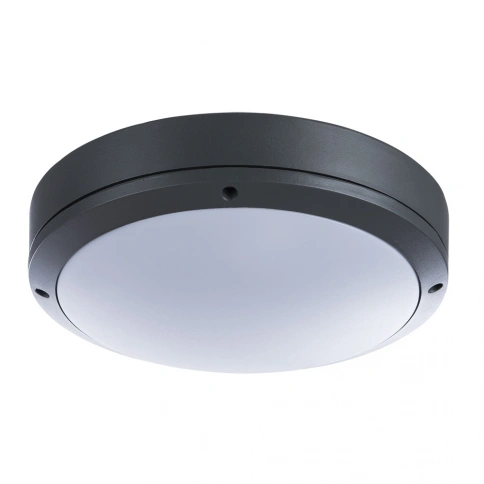 Уличный потолочный светильник Arte Lamp CITY A8154PF-2GY фото 1