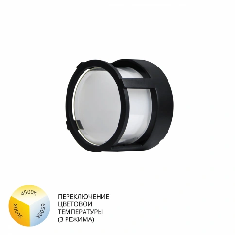 Уличный потолочный светильник Arte Lamp ULYSSES A6206PF-1BK фото 1