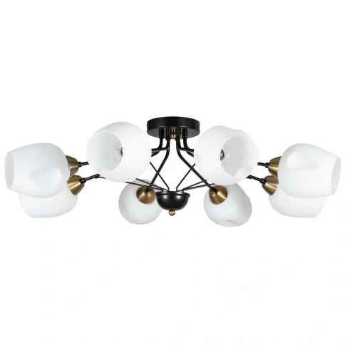 Потолочная люстра Arte Lamp BRIGHTON A2706PL-8CK фото 1