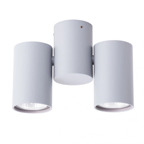 Спот Arte Lamp GAVROCHE A1511PL-2GY фото 1