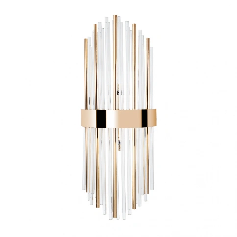 Настенный светильник Arte Lamp ACAPULCO A1007AP-2GO фото 1