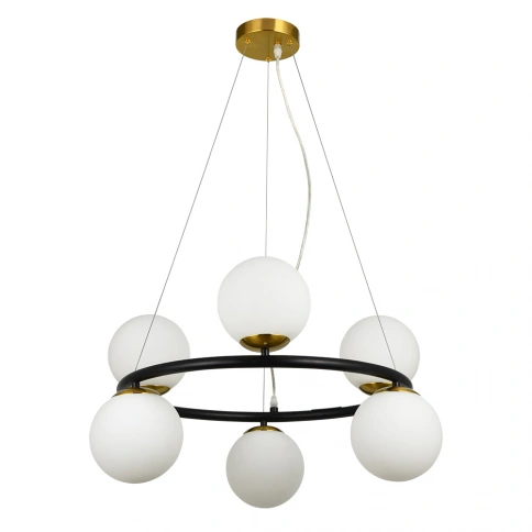 Подвесная люстра Arte Lamp ALCOR A2224SP-6BK фото 1