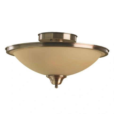 Потолочный светильник Arte Lamp SAFARI A6905PL-2AB фото 1