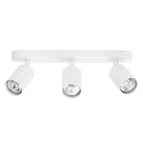 Спот Arte Lamp AQUARIUS A3226PL-3WH фото 1