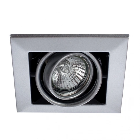Карданный светильник Arte Lamp CARDANI PICCOLO A5941PL-1SI фото 1