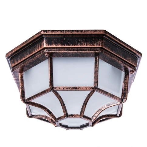 Уличный потолочный светильник Arte Lamp PEGASUS A3100PL-1AC фото 1