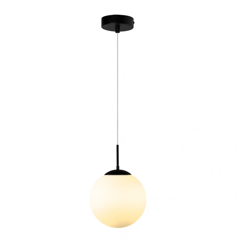 Подвесной светильник Arte Lamp VOLARE A1561SP-1BK фото 1