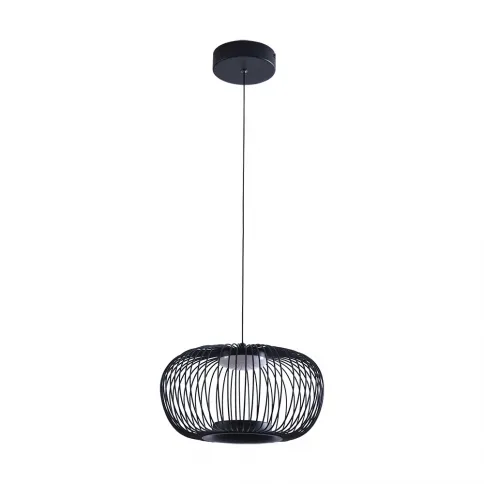 Подвесной светильник Arte Lamp FLARE A3527SP-12BK фото 1